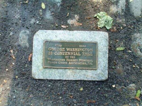 GEORGE WASHINGTON BI-CENTENNIAL TREE MEMORIAL PLAQUE