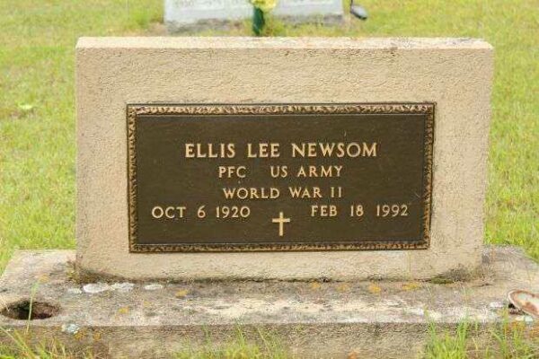 ELLIS LEE NEWSOM MEMORIAL CEMETERY STONE
