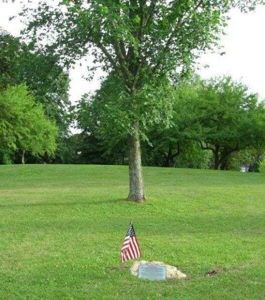 SERGEANT EDWARD J. BURNS WAR MEMORIAL TREE