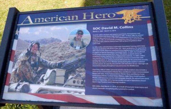 SOC DAVID M. COLLINS WAR MEMORIAL PLAQUE