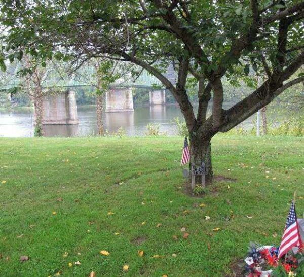 KITTANNING WORLD WAR I MEMORIAL TREE