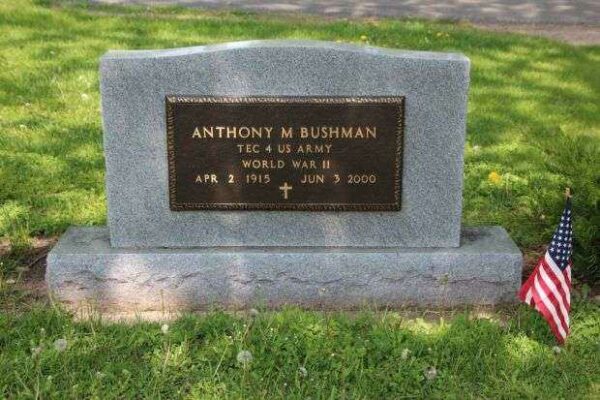 ANTHONY M BUSHMAN MEMORIAL CEMETERY STONE