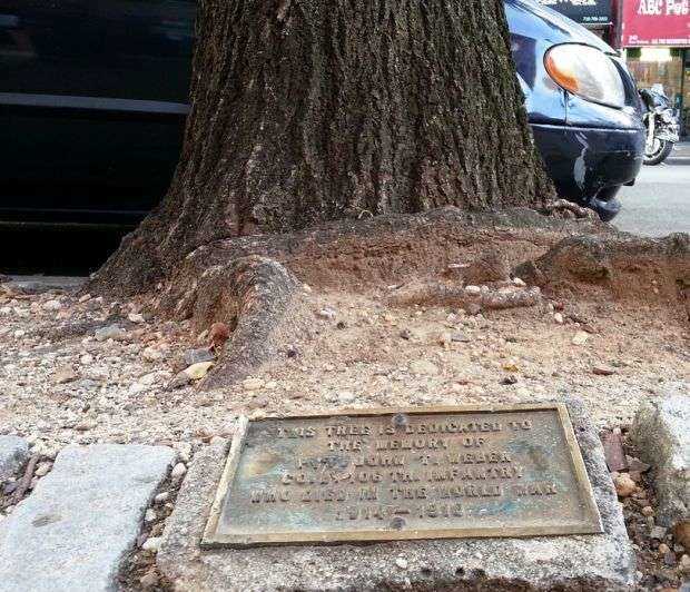 PVT. JOHN T. WEBER MEMORIAL TREE PLAQUE