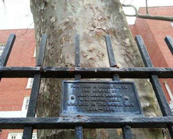 CORP. JAMES WANSER MEMORIAL TREE PLAQUE