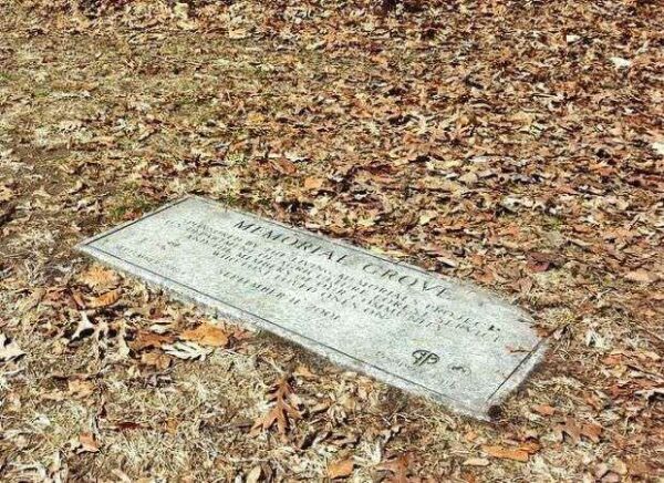 SEPTEMBER 11, 2001 MEMORIAL GROVE