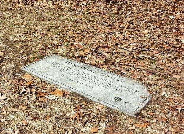 SEPTEMBER 11, 2001 MEMORIAL GROVE