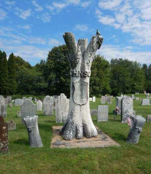 COL. THOMAS JOHNSON MEMORIAL CEMETERY STONE