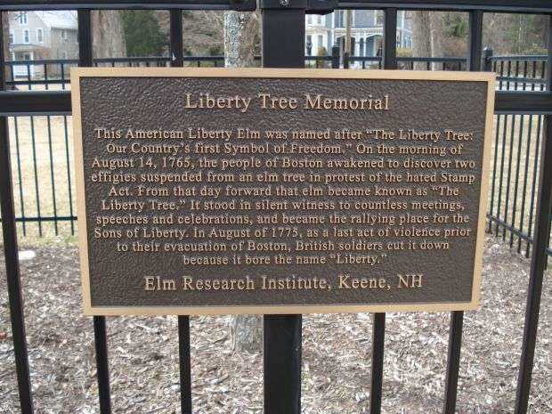 PINE MEADOW LIBERTY TREE MEMORIAL PLAQUE
