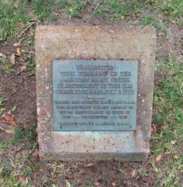 WASHINGTON ELM TREE OF MONTGOMERY MEMORIAL PLAQUE