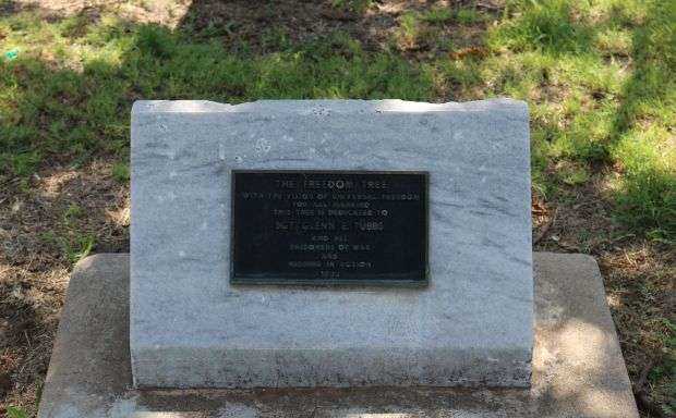 THE FREEDOM TREE SGT. GLENN E. TUBBS MEMORIAL PLAQUE