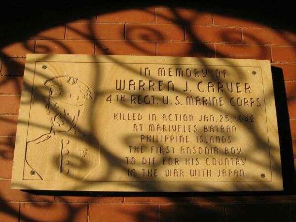 IN MEMORY OF WARREN J. CARVER WAR MEMORIAL PLAQUE