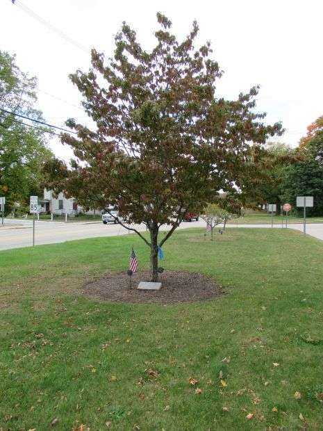 PFC WILLIAM J JOHNSTON MEDAL OF HONOR MEMORIAL TREE