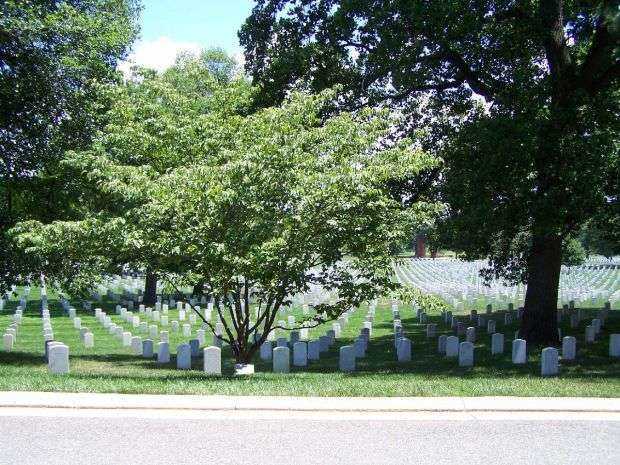 ARLINGTON CEMETERY AMERICAN EX-PRISONERS OF WAR KOUSA DOGWOOD MEMORIAL TREE