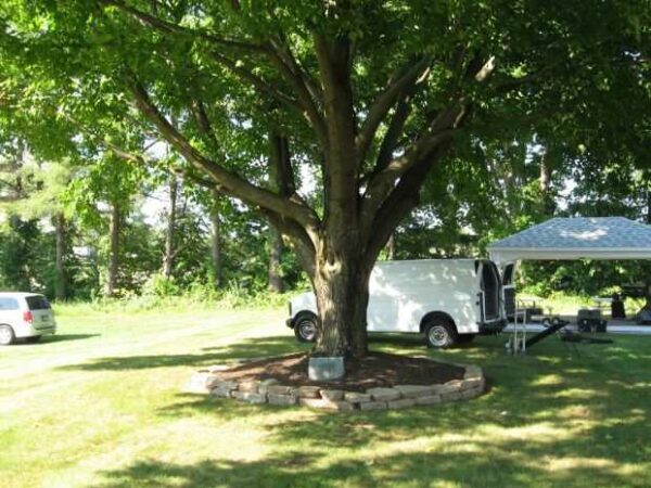GEORGE W. PEPE AND WILLIAM E. WEST MEMORIAL TREE