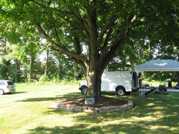GEORGE W. PEPE AND WILLIAM E. WEST MEMORIAL TREE