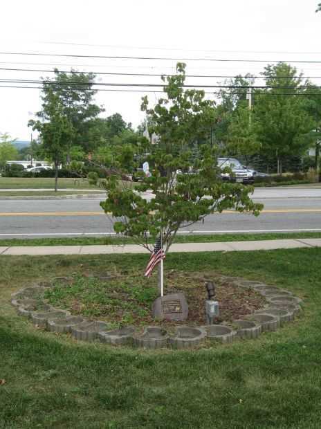 THE MILITARY WORKING DOGS OF AMERICA MEMORIAL TREE