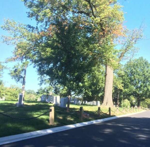 KHE SANH VETERANS WAR MEMORIAL TREE