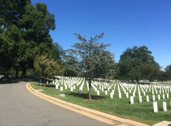 FIRST MARINE DIVISION ASSOCIATION WAR MEMORIAL TREE
