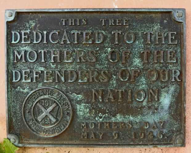 MOTHERS OF THE DEFENDERS WAR MEMORIAL TREE PLAQUE