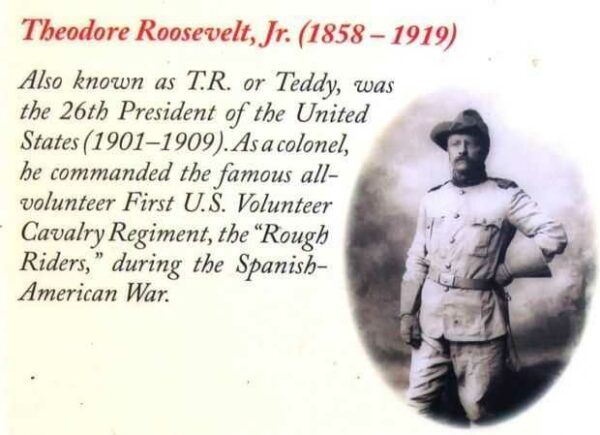 WISCONSIN VETERANS MEMORIAL RIVERWALK PLAQUE P