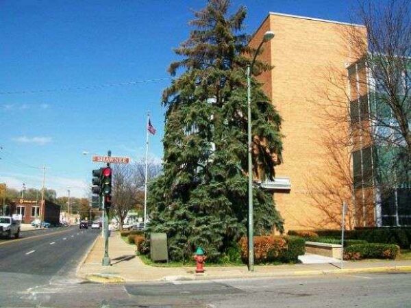 FREEDOM TREE WAR MEMORIAL