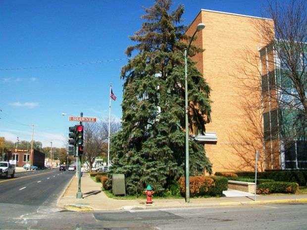 FREEDOM TREE WAR MEMORIAL
