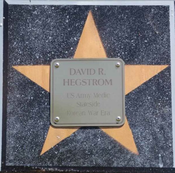 PARK FALLSW VETERAN’S MURALS PLAQUE I