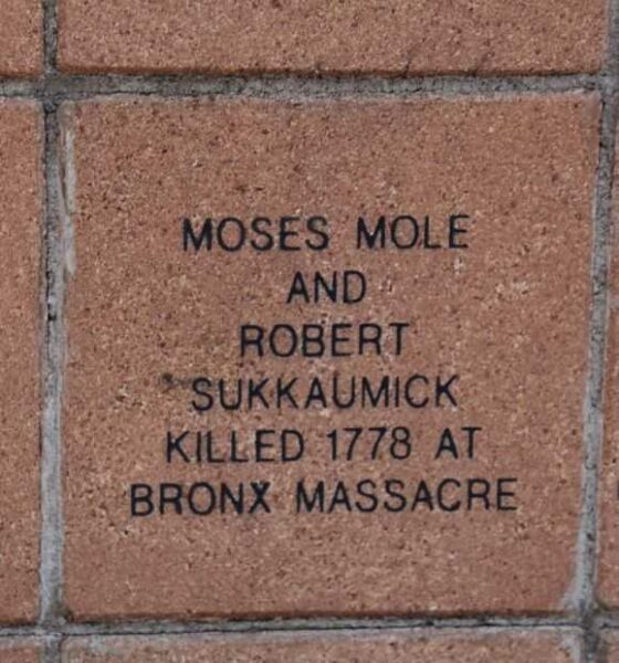 MOHICAN VETERANS MEMORIAL PAVER 11