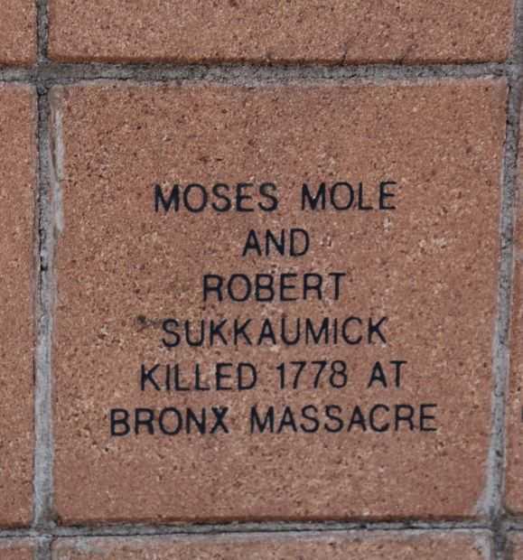 MOHICAN VETERANS MEMORIAL PAVER 11