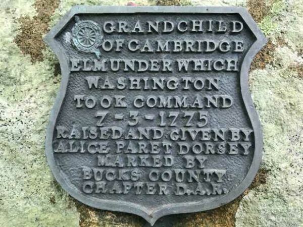 GRANDCHILD OF CAMBRIDGE ELM REVOLUTIONARY WAR MEMORIAL PLAQUE