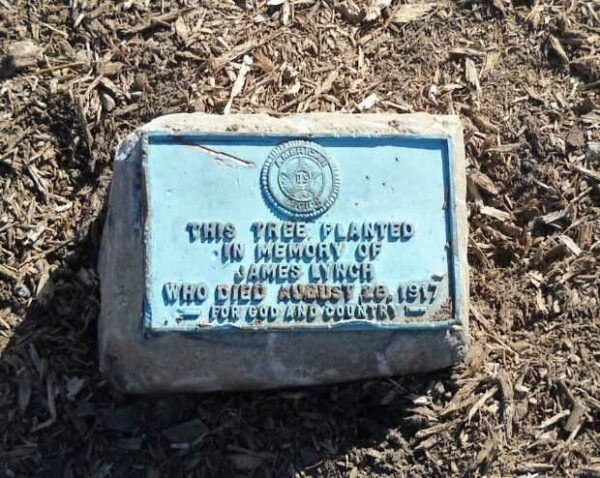 JAMES LYNCH WAR MEMORIAL TREE PLAQUE