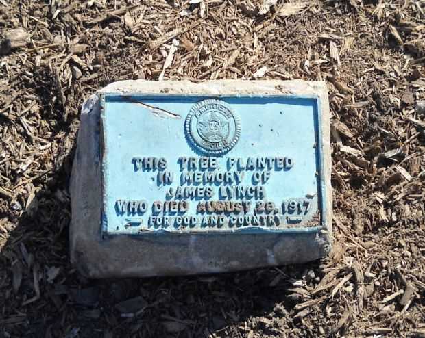JAMES LYNCH WAR MEMORIAL TREE PLAQUE