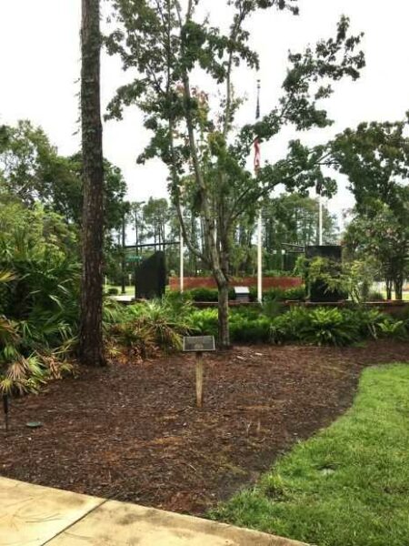 PALM COAST MEMORIAL TREE
