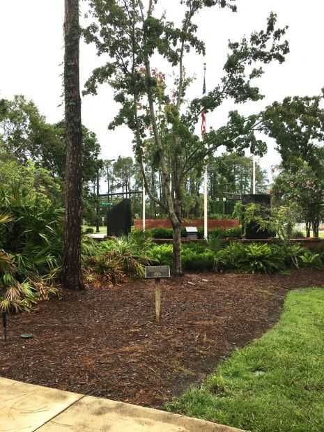PALM COAST MEMORIAL TREE