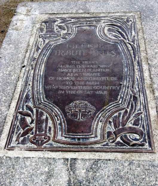 1914 1918 TRIBUTE TREES MEMORIAL PLAQUE