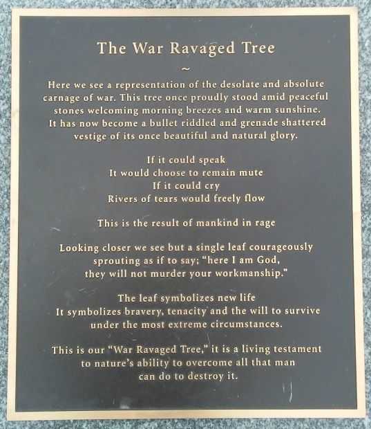 THE WAR RAVAGED TREE MEMORIAL PLAQUE