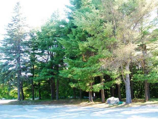 VIETNAM VETERANS PINE GROVE MEMORIAL