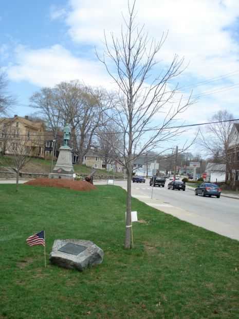 SPC. CHRISTOPHER LEE HOSKINS WAR MEMORIAL TREE