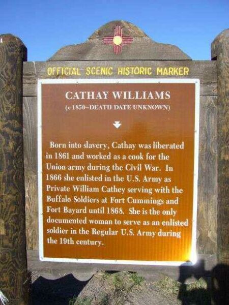 CATHAY WILLIAMS WAR MEMORIAL MARKER