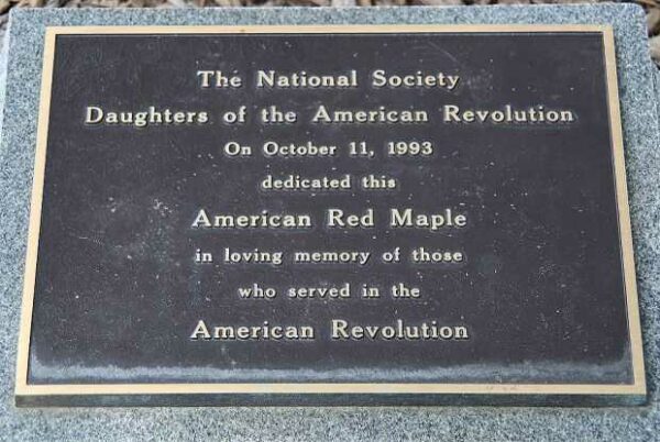 AMERICAN RED MAPLE REVOLUTIONARY WAR MEMORIAL TREE PLAQUE