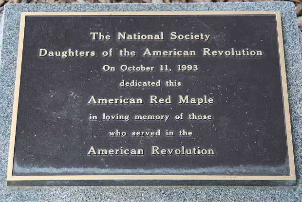 AMERICAN RED MAPLE REVOLUTIONARY WAR MEMORIAL TREE PLAQUE