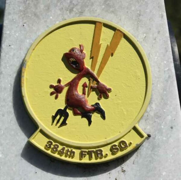 384TH FTR. SQ. WAR MEMORIAL MEDALLION