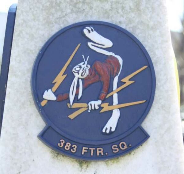 383 FTR. SQ. WAR MEMORIAL MEDALLION