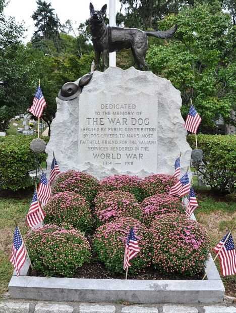 THE WAR DOG MEMORIAL