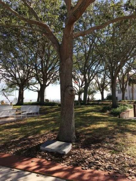 TITUSVILLE LIBERTY TREE MEMORIAL