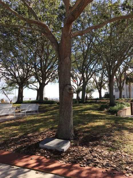 TITUSVILLE LIBERTY TREE MEMORIAL
