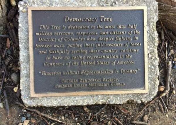 WASHINGTON D.C. DEMOCRACY TREE MEMORIAL PLAQUE