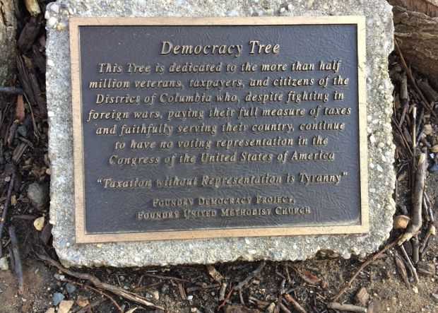 WASHINGTON D.C. DEMOCRACY TREE MEMORIAL PLAQUE