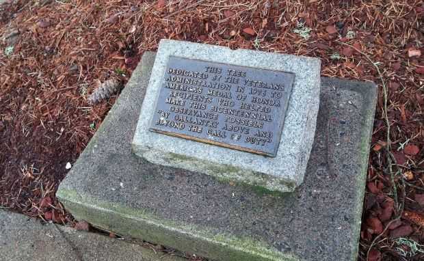 VETERANS ADMINISTRATION MEDAL OF HONOR RECIPIENTS MEMORIAL TREE PLAQUE