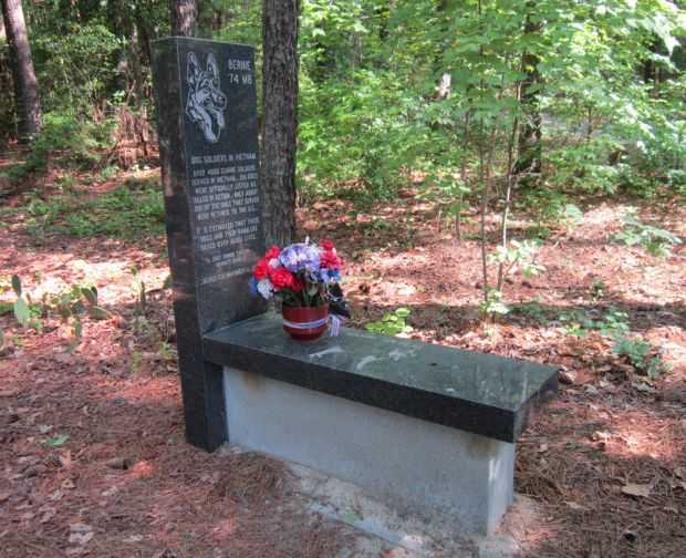 DOG SOLDIERS IN VIETNAM MEMORIAL